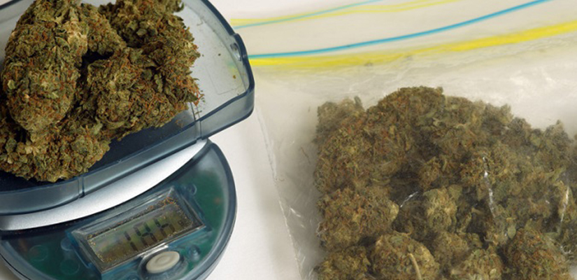 Could You Be Convicted of Transportation of Marijuana if You Didn’t Intend to Sell It?