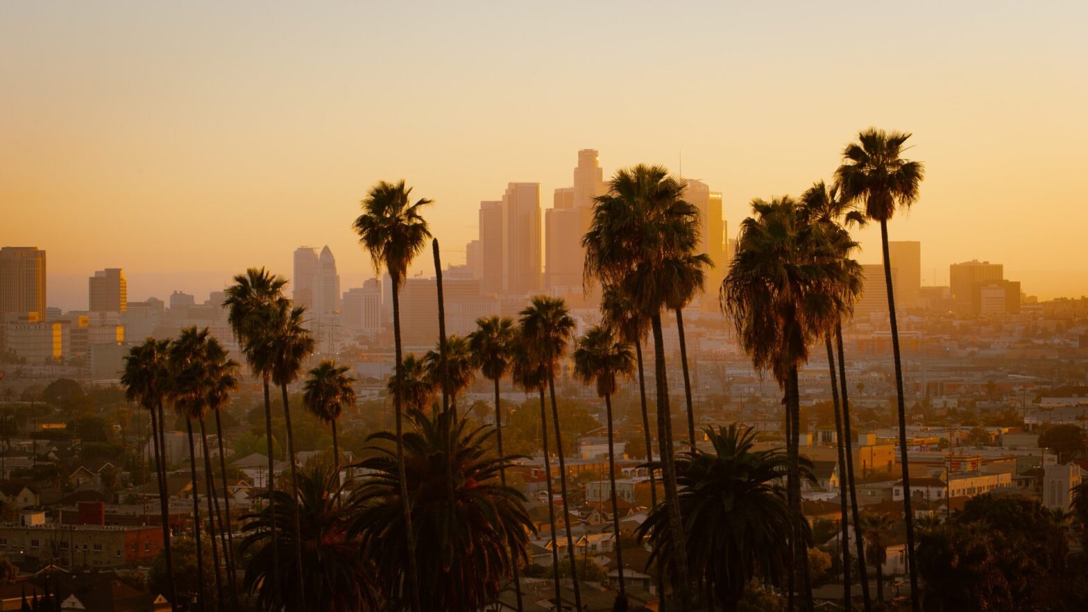 Top 5 Most Common Crimes In Los Angeles